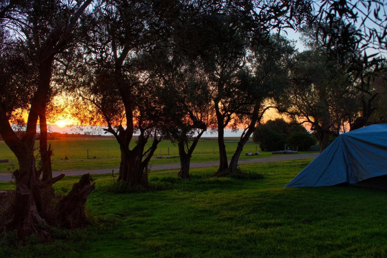 Big4 Cape Jervis Accommodation & Caravan Park Luaran gambar